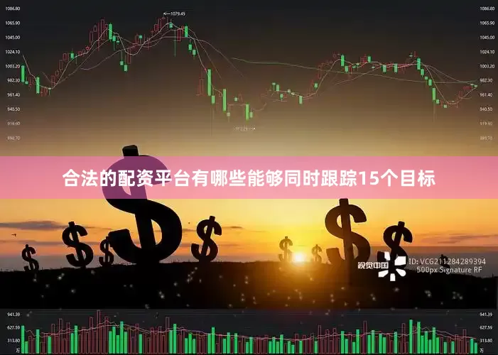 合法的配资平台有哪些能够同时跟踪15个目标